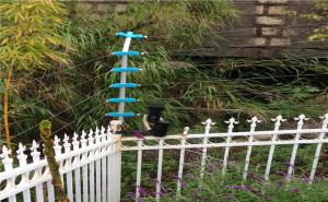 防盜報警系統(tǒng)有哪些種類？