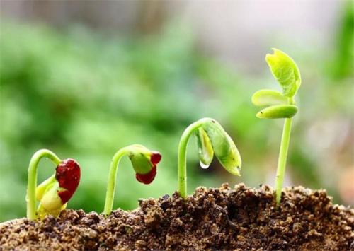 土壤肥料養分檢測儀 土壤肥料養分檢測儀